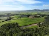 169 Bradfords Road, Septimus, Qld 4754-Image
