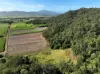 169 Bradfords Road, Septimus, Qld 4754-Image