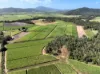 169 Bradfords Road, Septimus, Qld 4754-Image