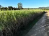 169 Bradfords Road, Septimus, Qld 4754-Image