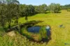 1695 Upper Mongogarie Road, Mongogarie, NSW 2470-Image