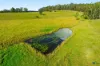 1695 Upper Mongogarie Road, Mongogarie, NSW 2470-Image