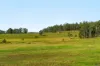 1695 Upper Mongogarie Road, Mongogarie, NSW 2470-Image