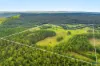 1695 Upper Mongogarie Road, Mongogarie, NSW 2470-Image