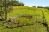 1695 Upper Mongogarie Road, Mongogarie, NSW 2470-Image
