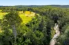 1695 Upper Mongogarie Road, Mongogarie, NSW 2470-Image