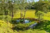 1695 Upper Mongogarie Road, Mongogarie, NSW 2470-Image