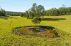 1695 Upper Mongogarie Road, Mongogarie, NSW 2470-Image