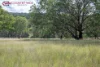170 Northcotts Road, Glen Innes, NSW 2370-Image