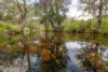 170 Northcotts Road, Glen Innes, NSW 2370-Image