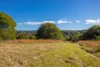 171 Glenwarrin Road, Elands NSW 2429-Image