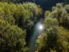 171 Glenwarrin Road, Elands NSW 2429-Image