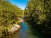 171 Glenwarrin Road, Elands NSW 2429-Image