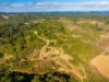 171 Glenwarrin Road, Elands NSW 2429-Image