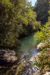 171 Glenwarrin Road, Elands NSW 2429-Image