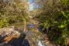 171 Glenwarrin Road, Elands NSW 2429-Image