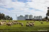 1722 Williams-Darkan Road, Williams, WA 6391-Image