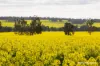 1722 Williams-Darkan Road, Williams, WA 6391-Image