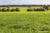 1722 Williams-Darkan Road, Williams, WA 6391-Image