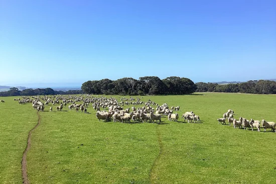 1730 Willson River Road, Porky Flat, SA 5222