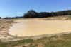 1730 Willson River Road, Porky Flat, SA 5222-Image
