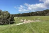 1730 Willson River Road, Porky Flat, SA 5222-Image