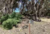 1730 Willson River Road, Porky Flat, SA 5222-Image