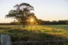 17301 Pacific Highway, Cundletown NSW 2430-Image