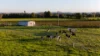 17301 Pacific Highway, Cundletown NSW 2430-Image
