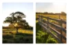 17301 Pacific Highway, Cundletown NSW 2430-Image