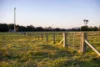 17301 Pacific Highway, Cundletown NSW 2430-Image