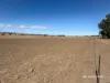 1741 Bukkulla Road, Ashford, Inverell, NSW 2360-Image