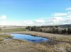 1741 Bukkulla Road, Ashford, Inverell, NSW 2360-Image