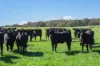 1744 Brawlin Road, Cootamundra, NSW 2590