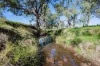 1744 Brawlin Road, Cootamundra, NSW 2590-Image