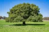 1744 Brawlin Road, Cootamundra, NSW 2590-Image