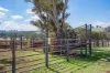 1744 Brawlin Road, Cootamundra, NSW 2590-Image