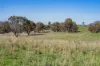 1744 Brawlin Road, Cootamundra, NSW 2590-Image
