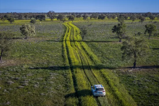 1744 Cumberdoon Way, Walgett, NSW 2832