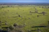 1744 Cumberdoon Way, Walgett, NSW 2832-Image