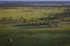 1744 Cumberdoon Way, Walgett, NSW 2832-Image
