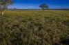 1744 Cumberdoon Way, Walgett, NSW 2832-Image