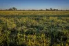 1744 Cumberdoon Way, Walgett, NSW 2832-Image