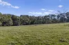 177 Steens Road, Boho South, Vic 3669-Image