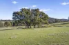 177 Steens Road, Boho South, Vic 3669-Image