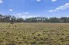 177 Steens Road, Boho South, Vic 3669-Image