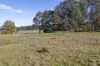 177 Steens Road, Boho South, Vic 3669-Image