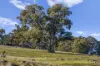 177 Steens Road, Boho South, Vic 3669-Image