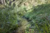 177 Steens Road, Boho South, Vic 3669-Image