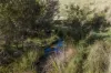 177 Steens Road, Boho South, Vic 3669-Image